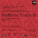Galleria Vezzoli - Roma, MAXXI